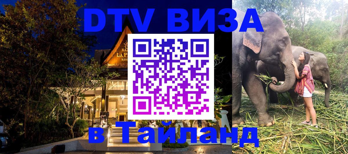 Оформление DTV визы под ключ: стоимость и тарифы, только загранпаспорт - 18.11.2025 